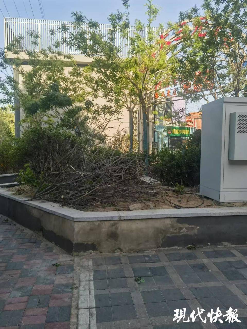 皇冠信用网最新地址_石家庄被家暴女子驾车逃跑致丈夫身亡皇冠信用网最新地址，一审以故意杀人罪获刑11年