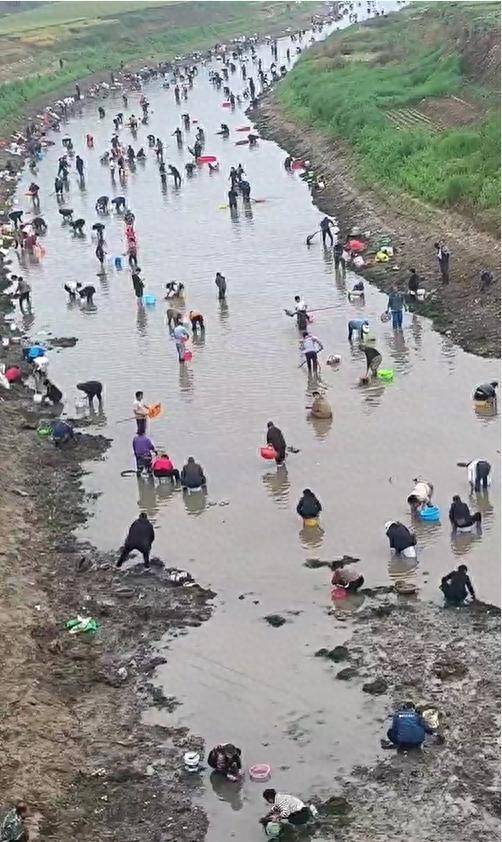 皇冠信用网APP下载_河南浚县一处河道内众人捞金？当地辟谣：捞的是花甲皇冠信用网APP下载，已劝离捕捞客