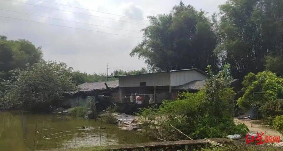 皇冠信用网如何注册_男子杀害母亲和女友后带嫂嫂潜逃32年落网皇冠信用网如何注册，两人育有一儿一女，侦破细节披露