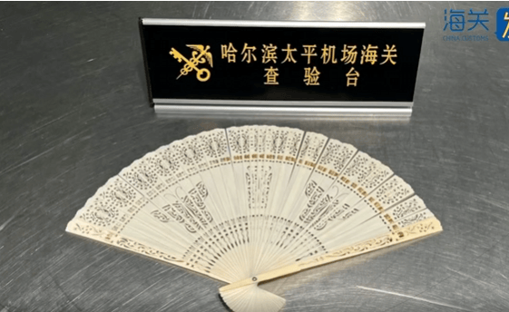 皇冠信用網代理_一旅客因一把“漂亮折扇”在哈尔滨机场被查！经鉴定：非洲象象牙制品皇冠信用網代理，净重61.7克