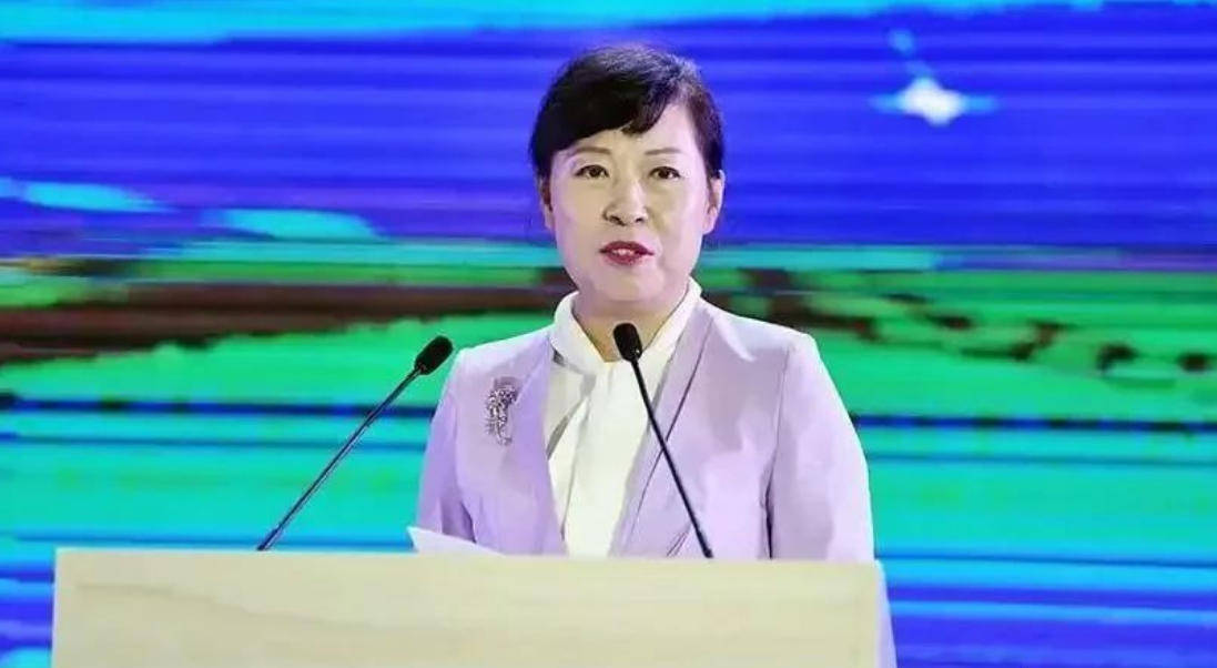 AC米兰vs克雷莫内塞_“换装主席”王莉霞的堕落：从光鲜人设到腐败深渊