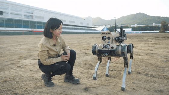 如何申请皇冠代理_九三阅兵“机器狼群”如何申请皇冠代理，首次亮相一个字：帅！与“机器狗”有这些区别→