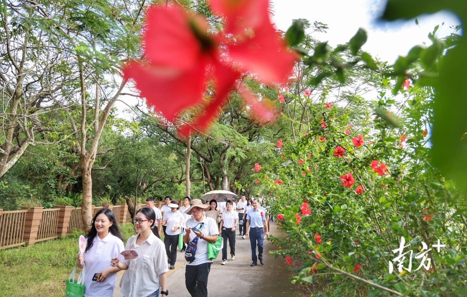 皇冠信用网代理申请_中山城建集团“连心桥”移交皇冠信用网代理申请，村企共建绘就桂南新画卷