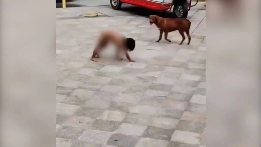 皇冠登3管理出租_村民：“野人小孩”父亲上山“灵修”后就不正常皇冠登3管理出租了