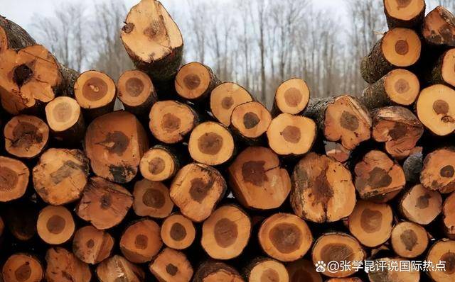 皇冠信用網开号_48小时内皇冠信用網开号，中方连下3令，特朗普别高兴太早，承诺一个都不能少