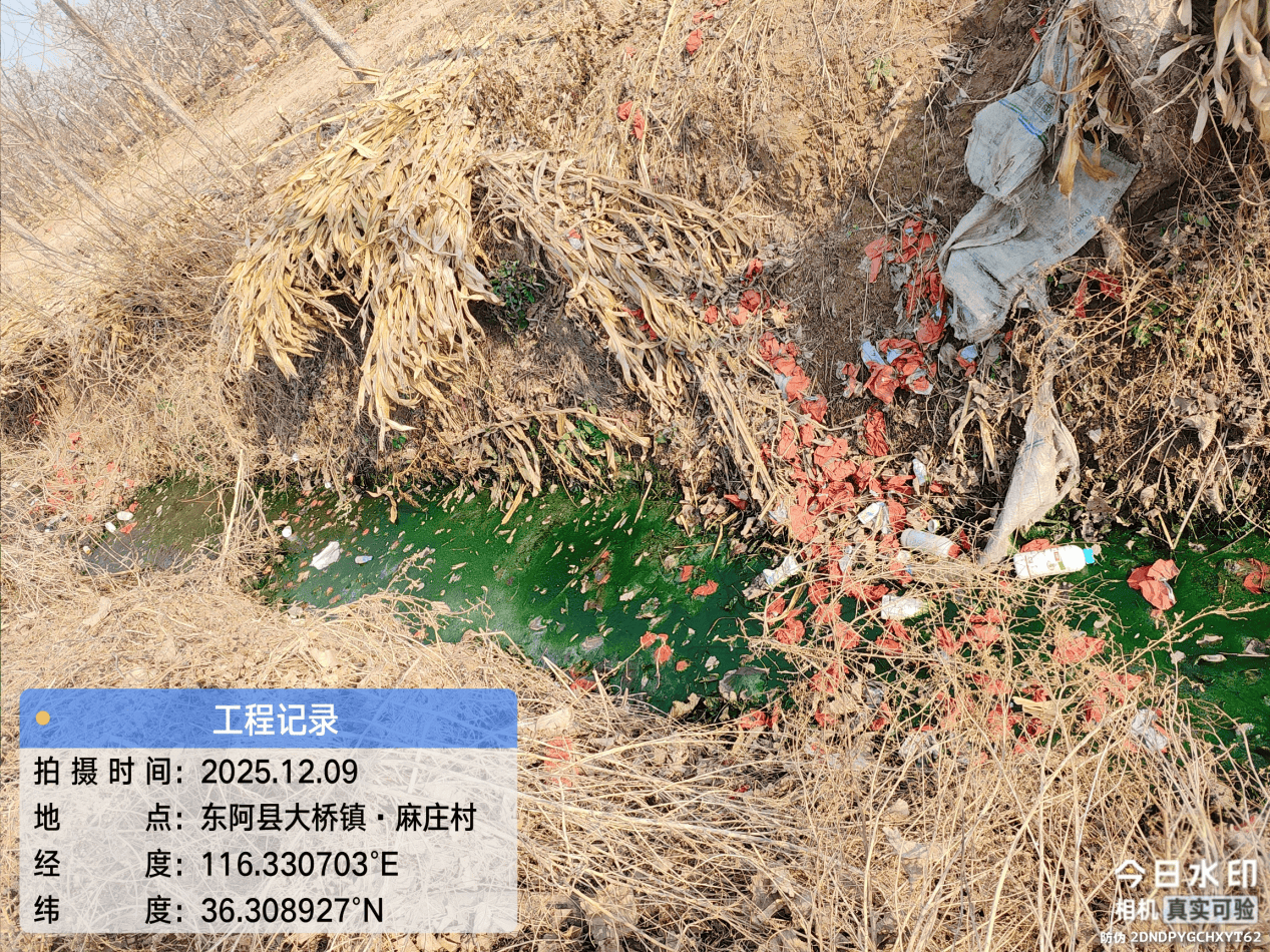 皇冠信用網注册开户
_东阿县:多个村庄“垃圾围村” 县农村农业局回复称 已全部整治清理