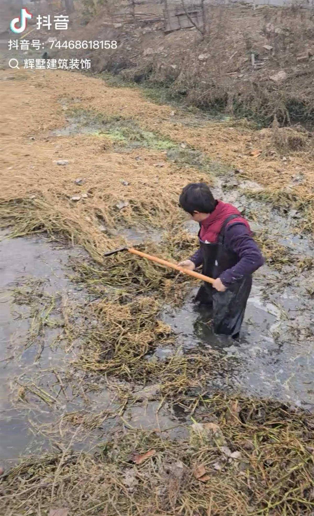 正版皇冠信用开户申请_大鹅主人抽水追凶最新进展来了:深刨半米淤泥啥也不见正版皇冠信用开户申请,或因厚草盖顶溺亡