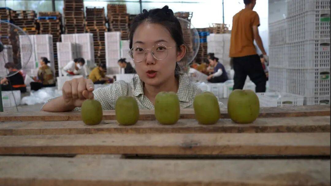 皇冠会员如何申请_考研失败、工作失业皇冠会员如何申请，95后情侣回成都换赛道火了，全网追着买！她说：不是爽文逆袭