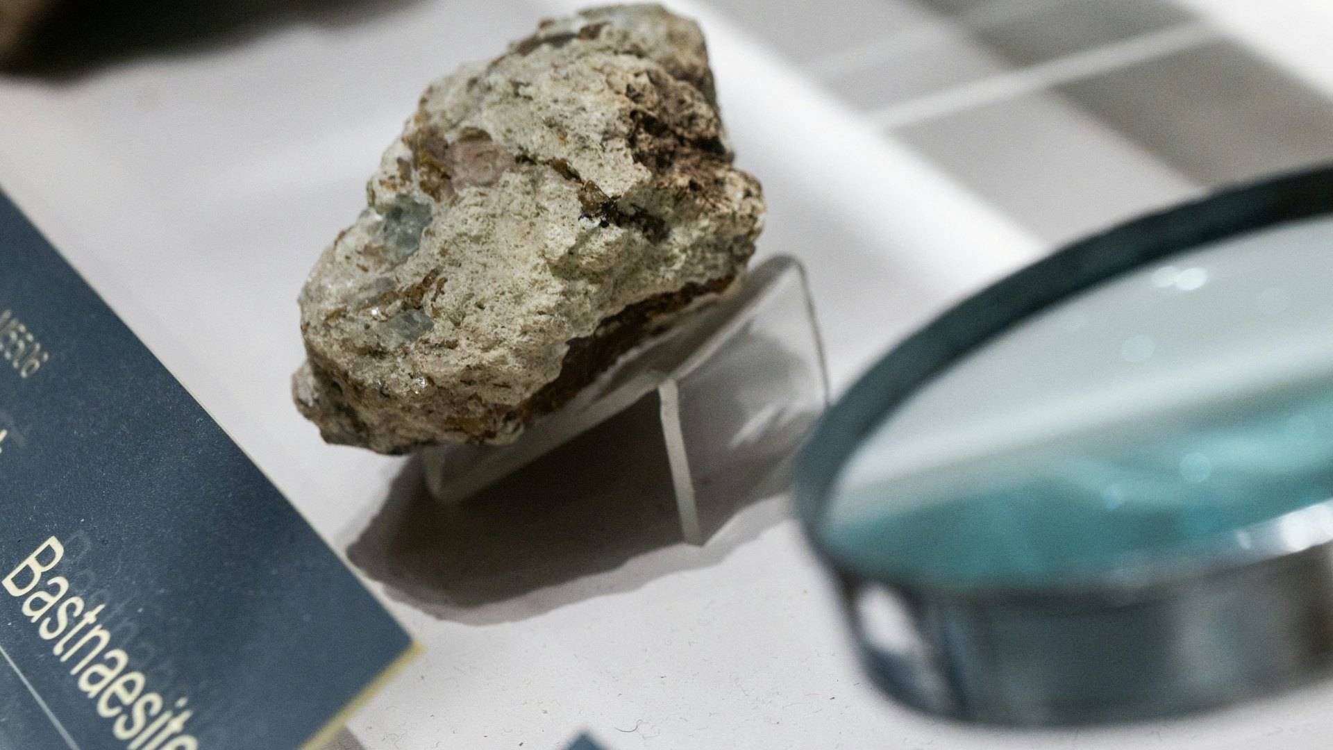 信用网怎么注册 _高市早苗叫嚣信用网怎么注册 ，决不容许中国出口制裁，赌国运还是被逼下台二选一